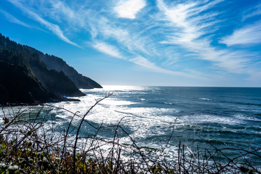 Ocean waves meet a forested headland beneath a bright blue sky.