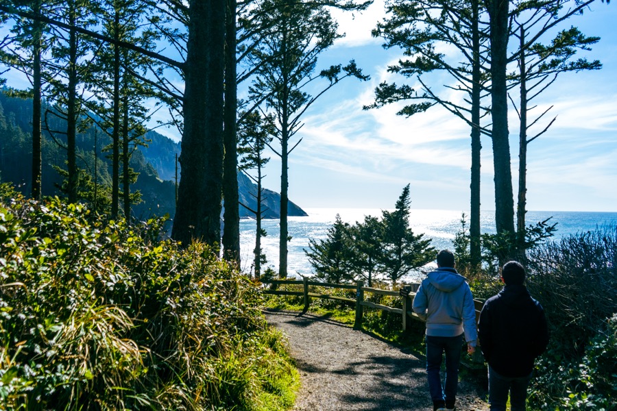 Two people walk a forest path toward an ocean overlook.
